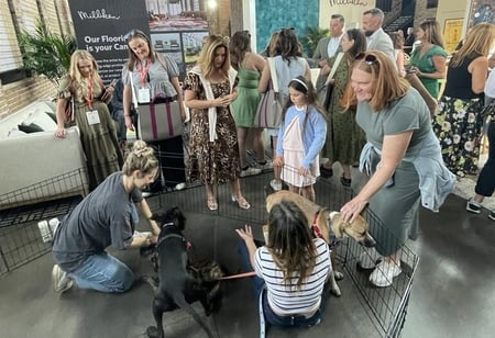 Meet puppies at Milliken Design Days 2026